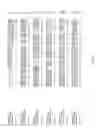 Fig. 136 - NUCLEOTIDE SEQUENCES AND CORRESPONDING POLYPEPTIDES CONFERRING MODULATED PLANT SIZE AND BIOMASS AND OTHER CHARACTERISTICS IN PLANTS