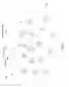 Fig. 02 - FOAM/ADHESIVE COMPOSITE AND METHODS OF USE THEREOF
