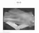 Fig. 03 - Eco-friendly incombustible biocomposite and method for preparing the same