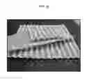 Fig. 04 - Eco-friendly incombustible biocomposite and method for preparing the same