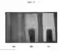 Fig. 12 - Eco-friendly incombustible biocomposite and method for preparing the same