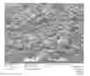 Fig. 01 - Coating Structure