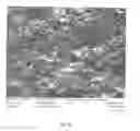 Fig. 05 - Coating Structure
