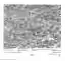 Fig. 06 - Coating Structure
