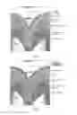Fig. 09 - Coating Structure