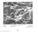 Fig. 10 - Coating Structure