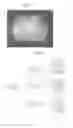 Fig. 02 - Methods for forming tooth root and periodontal tissue unit, and regenerated tooth
