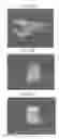 Fig. 19 - Methods for forming tooth root and periodontal tissue unit, and regenerated tooth