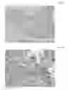 Fig. 12 - ARMET as a marker for cancer
