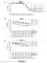 Fig. 10 - INHIBITORS OF dUTPase