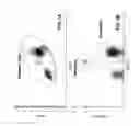 Fig. 02 - Assay for analysis of free drug in samples