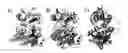 Fig. 01 - Fluorescently Or Spin-Labeled Kinases For Rapid Screening And Identification Of Novel Kinase Inhibitor Scaffolds