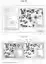 Fig. 24 - Microscope cell staining observation system, method, and computer program product