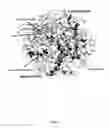 Fig. 02 - [NiFe]-hydrogenases having an improved resistance to dioxygen, process for obtaining them and their applications