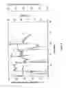 Fig. 09 - [NiFe]-hydrogenases having an improved resistance to dioxygen, process for obtaining them and their applications