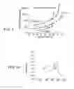 Fig. 04 - Transparent conductive nano-composites