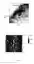 Fig. 02 - METHOD FOR FORMING CHANNEL LAYER WITH HIGH GE CONTENT ON SUBSTRATE