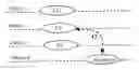 Fig. 01 - Measurement handling with carrier aggregation