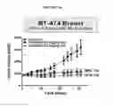 Fig. 06 - Biomarkers for predicting the sensitivity and response of protein kinase CK2-mediated diseases to CK2 Inhibitors