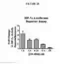 Fig. 35 - Biomarkers for predicting the sensitivity and response of protein kinase CK2-mediated diseases to CK2 Inhibitors