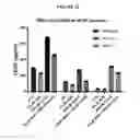 Fig. 40 - Biomarkers for predicting the sensitivity and response of protein kinase CK2-mediated diseases to CK2 Inhibitors