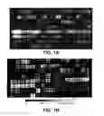 Fig. 02 - Using phylogenetic probes for quantification of stable isotope labeling and microbial community analysis