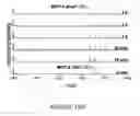 Fig. 15 - NOVEL DIAGNOSTIC METHOD
