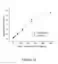 Fig. 27 - NOVEL DIAGNOSTIC METHOD
