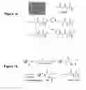 Fig. 02 - Modulation of bacterial quorum sensing with synthetic ligands