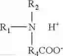 Fig. 20 - Multicomponent viscoelastic surfactant fluid and method of using as a fracturing fluid