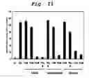 Fig. 09 - Radical scavenger and active oxygen eliminating agent