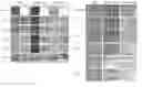 Fig. 01 - DECELLULARIZATION METHOD FOR SCAFFOLDLESS TISSUE ENGINEERED ARTICULAR CARTILAGE OR NATIVE CARTILAGE TISSUE