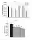 Fig. 04 - DECELLULARIZATION METHOD FOR SCAFFOLDLESS TISSUE ENGINEERED ARTICULAR CARTILAGE OR NATIVE CARTILAGE TISSUE