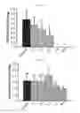 Fig. 06 - DECELLULARIZATION METHOD FOR SCAFFOLDLESS TISSUE ENGINEERED ARTICULAR CARTILAGE OR NATIVE CARTILAGE TISSUE