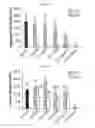 Fig. 07 - DECELLULARIZATION METHOD FOR SCAFFOLDLESS TISSUE ENGINEERED ARTICULAR CARTILAGE OR NATIVE CARTILAGE TISSUE