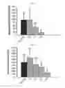 Fig. 08 - DECELLULARIZATION METHOD FOR SCAFFOLDLESS TISSUE ENGINEERED ARTICULAR CARTILAGE OR NATIVE CARTILAGE TISSUE