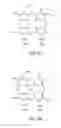 Fig. 10 - Metal-binding compounds and uses therefor