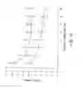 Fig. 17 - Metal-binding compounds and uses therefor