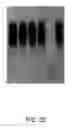 Fig. 28 - Metal-binding compounds and uses therefor