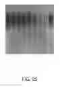 Fig. 29 - Metal-binding compounds and uses therefor