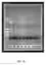 Fig. 22 - Metal-binding compounds and uses therefor