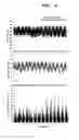 Fig. 09 - Agent for ameliorating brain hypofunction