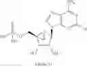 Fig. 33 - Compositions and methods to treat cardiac diseases