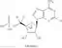 Fig. 34 - Compositions and methods to treat cardiac diseases