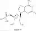 Fig. 44 - Compositions and methods to treat cardiac diseases