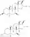 Fig. 22 - Steroids having 7-oxgen and 17-heteroaryl substitution