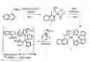 Fig. 01 - High-valent palladium fluoride complexes and uses thereof