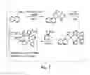 Fig. 02 - High-valent palladium fluoride complexes and uses thereof