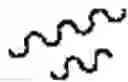 Fig. 03 - Compounds for the reduction of β-amyloid production
