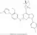 Fig. 441 - Compounds for the reduction of β-amyloid production